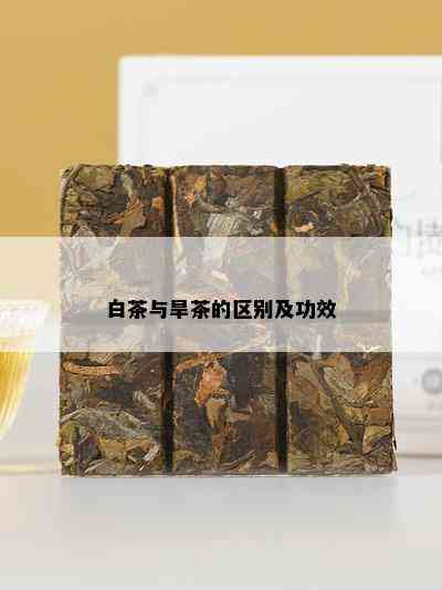 白茶与旱茶的区别及功效