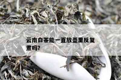 云南白茶能一直放壶里反复煮吗？