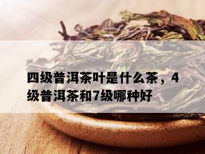 四级普洱茶叶是什么茶，4级普洱茶和7级哪种好