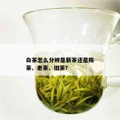 白茶怎么分辨是新茶还是陈茶、老茶、旧茶？