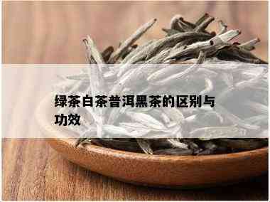 绿茶白茶普洱黑茶的区别与功效