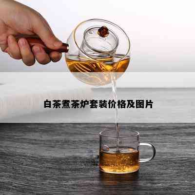 白茶煮茶炉套装价格及图片