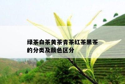 绿茶白茶黄茶青茶红茶黑茶的分类及颜色区分