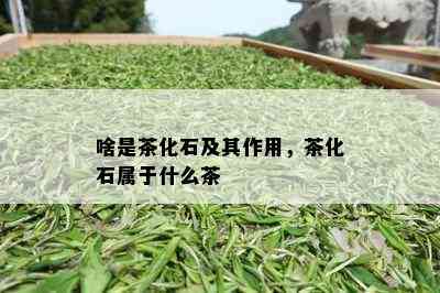 啥是茶化石及其作用，茶化石属于什么茶