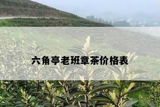 六角亭老班章茶价格表