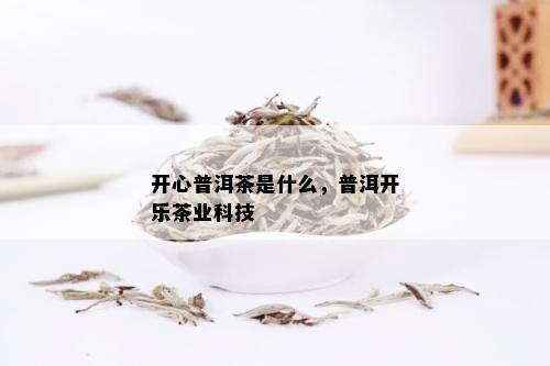 开心普洱茶是什么，普洱开乐茶业科技