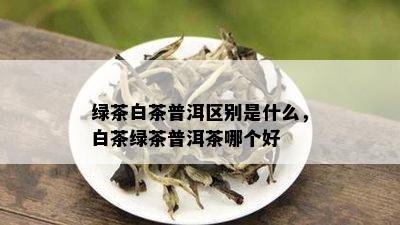 绿茶白茶普洱区别是什么，白茶绿茶普洱茶哪个好