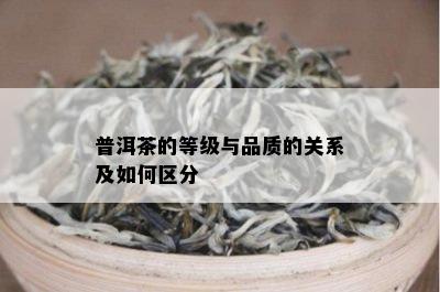 普洱茶的等级与品质的关系及如何区分