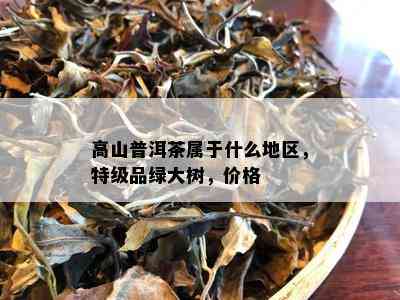 高山普洱茶属于什么地区，特级品绿大树，价格