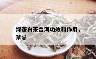 绿茶白茶普洱功效和作用，禁忌