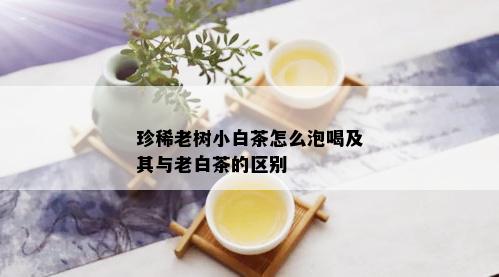 珍稀老树小白茶怎么泡喝及其与老白茶的区别