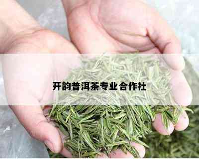 开韵普洱茶专业合作社