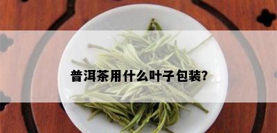 普洱茶用什么叶子包装？