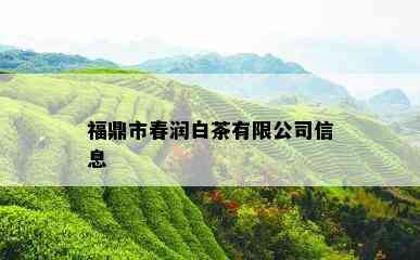 福鼎市春润白茶有限公司信息