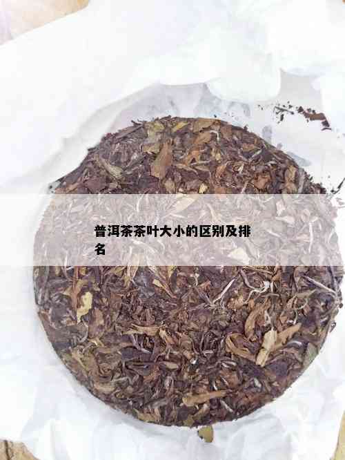 普洱茶茶叶大小的区别及排名