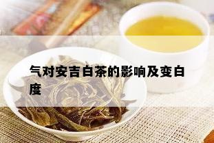 气对安吉白茶的影响及变白度