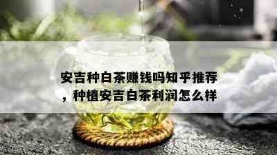 安吉种白茶赚钱吗知乎推荐，种植安吉白茶利润怎么样