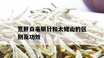 荒野白毫银针和太姥山的区别及功效