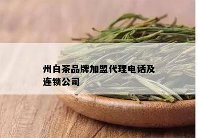 州白茶品牌加盟代理电话及连锁公司