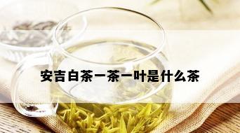 安吉白茶一茶一叶是什么茶