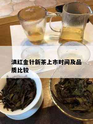 滇红金针新茶上市时间及品质比较