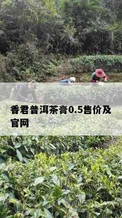 香君普洱茶膏0.5售价及官网