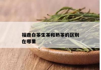 福鼎白茶生茶和熟茶的区别在哪里