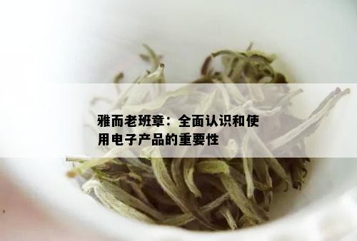 雅而老班章：全面认识和使用电子产品的重要性