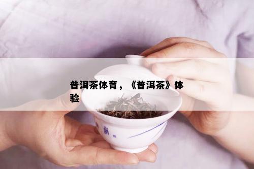 普洱茶体育，《普洱茶》体验