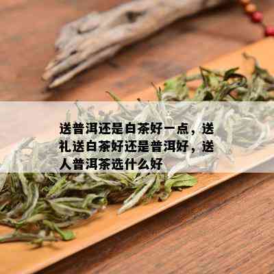 送普洱还是白茶好一点，送礼送白茶好还是普洱好，送人普洱茶选什么好