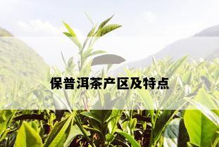 保普洱茶产区及特点