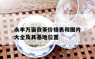 永丰万亩白茶价格表和图片大全及其基地位置