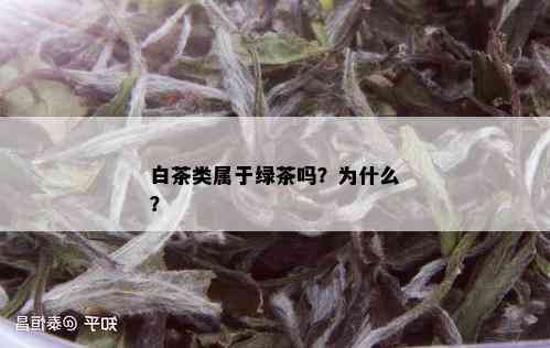 白茶类属于绿茶吗？为什么？