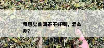 我感觉普洱茶不好喝，怎么办？