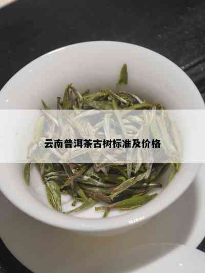 云南普洱茶古树标准及价格