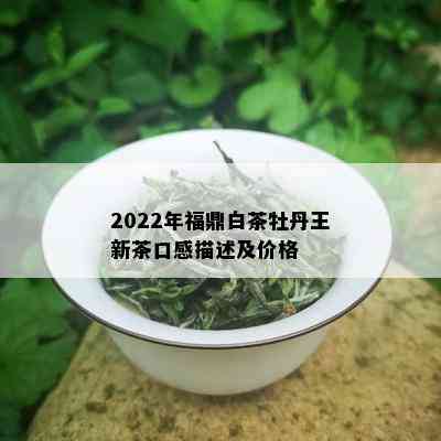 2022年福鼎白茶牡丹王新茶口感描述及价格