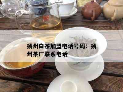 扬州白茶加盟电话号码：扬州茶厂联系电话