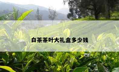 白茶茶叶大礼盒多少钱