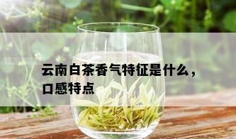 云南白茶香气特征是什么，口感特点