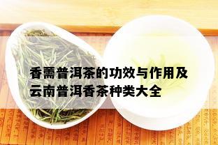 香薷普洱茶的功效与作用及云南普洱香茶种类大全