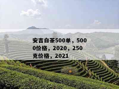 安吉白茶500单，5000价格，2020，250克价格，2021