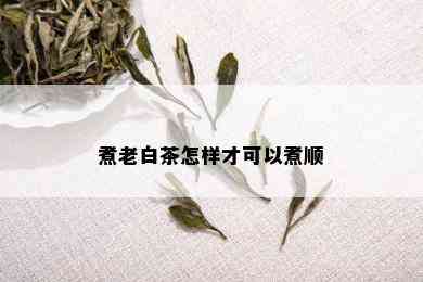 煮老白茶怎样才可以煮顺