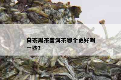 白茶黑茶普洱茶哪个更好喝一些？