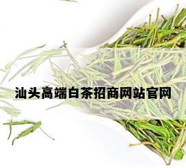 汕头高端白茶招商网站官网