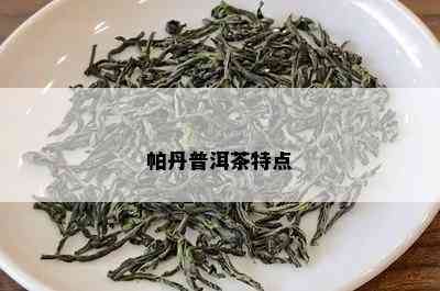 帕丹普洱茶特点