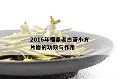 2016年福鼎老白茶小方片眉的功效与作用