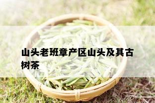 山头老班章产区山头及其古树茶