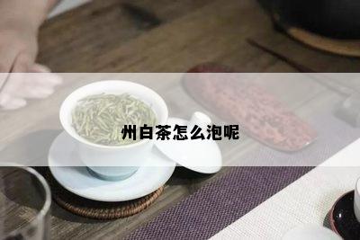 州白茶怎么泡呢