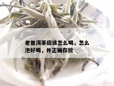 老普洱茶应该怎么喝，怎么泡好喝，并正确存放