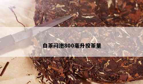 白茶闷泡800毫升投茶量